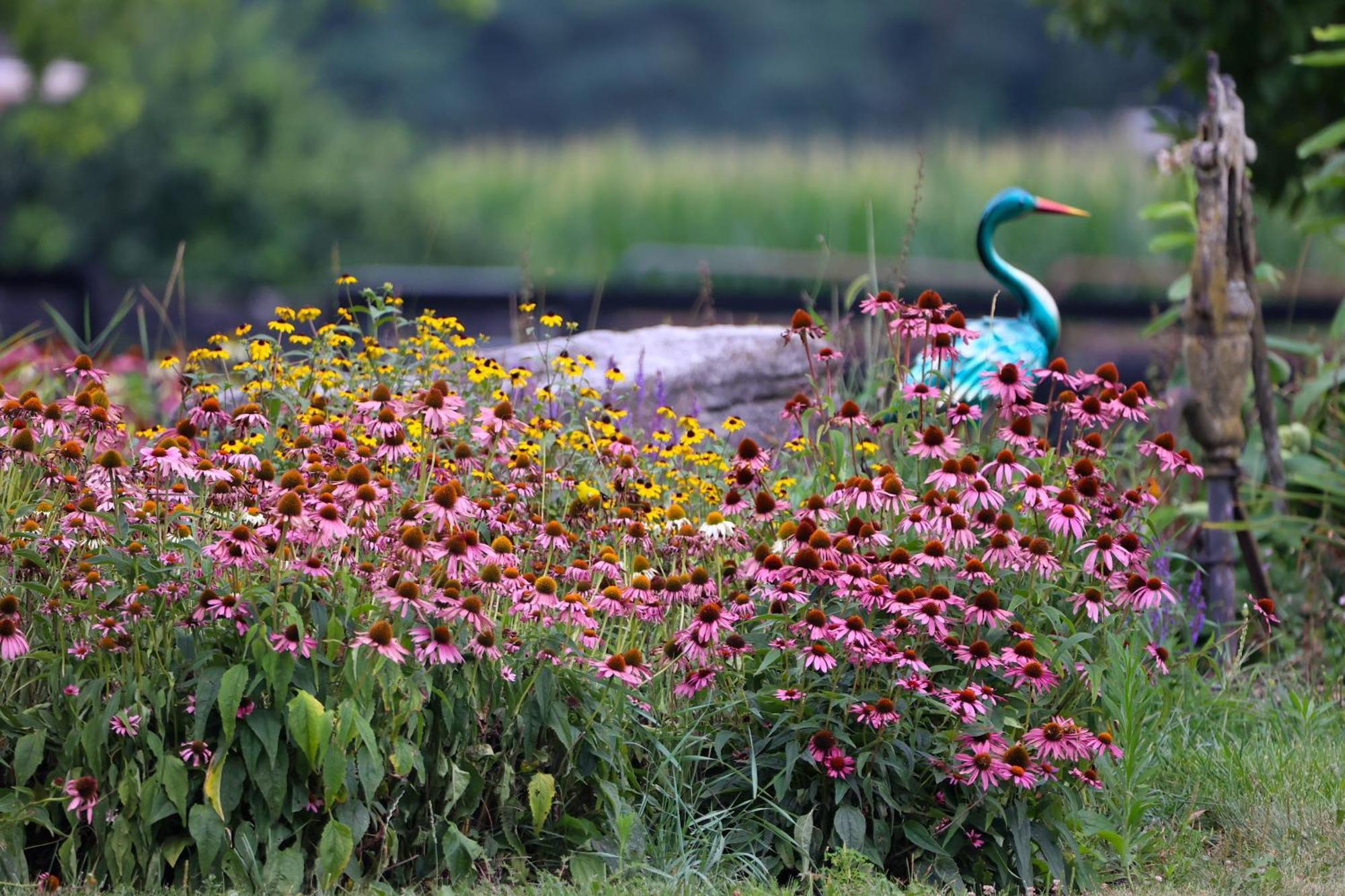 Pheasant Field Bed And Breakfast Carlisle Ngoại thất bức ảnh
